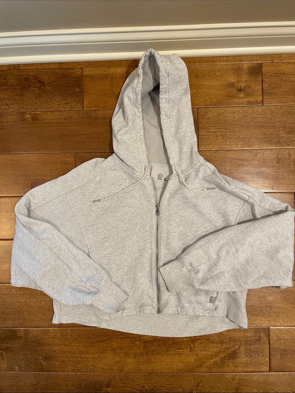 Gilly Hicks Light Gray Cropped Zip Hoodie